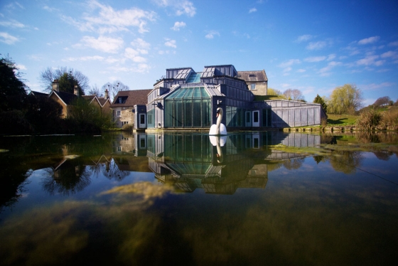 A Wide Angle Swan Photographed by York Tillyer